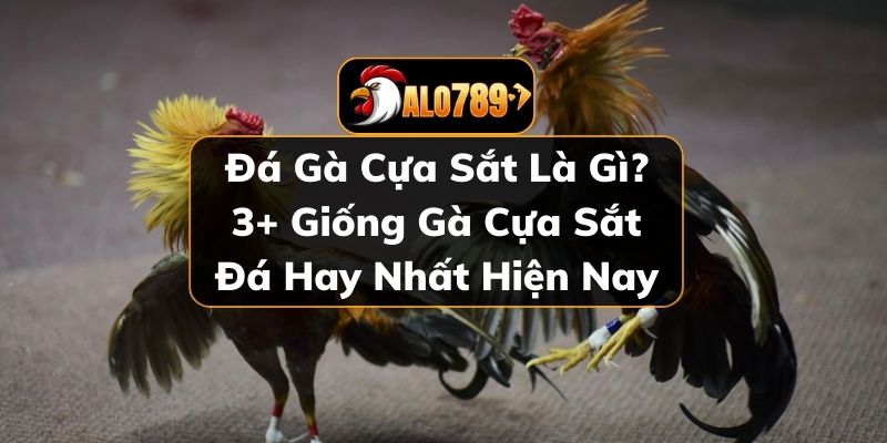 Đá gà cựa sắt
