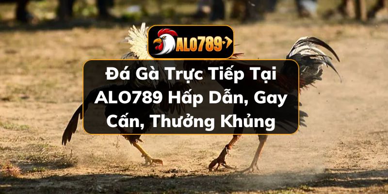 Đá gà trực tiếp