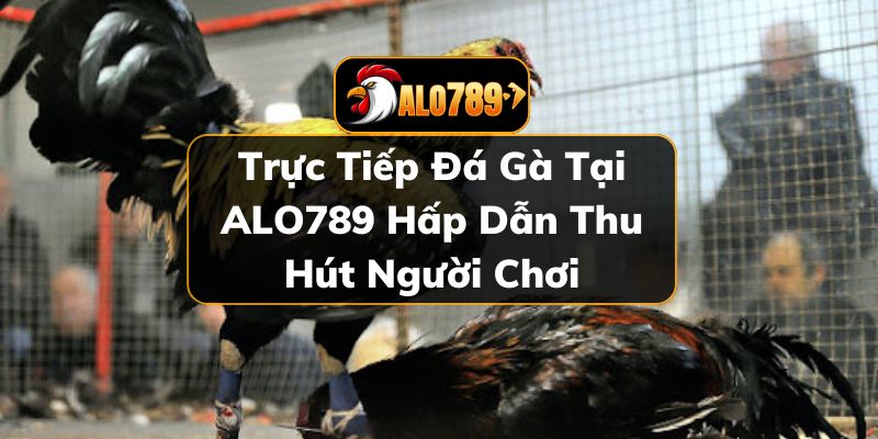 trực tiếp đá gà