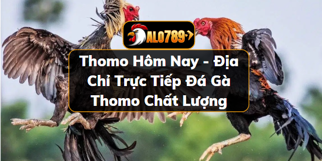 Thomo hôm nay