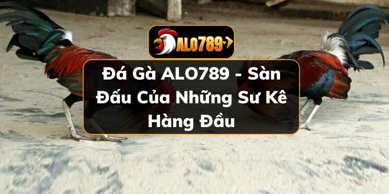 Đá gà ALO789